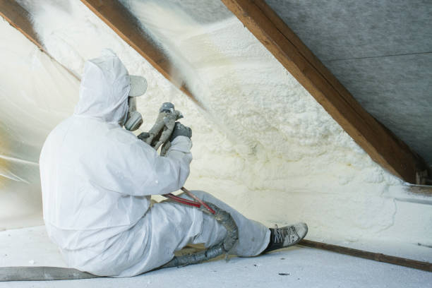 Best Attic Insulation Installation in Blue Ridge, AL